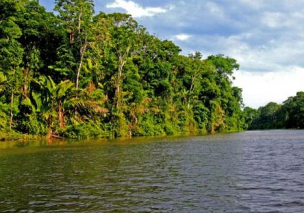 tortuguero-national-park