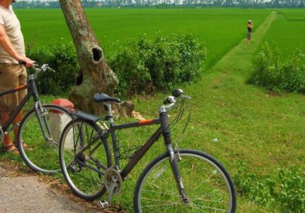 biking---rice-field.jpg