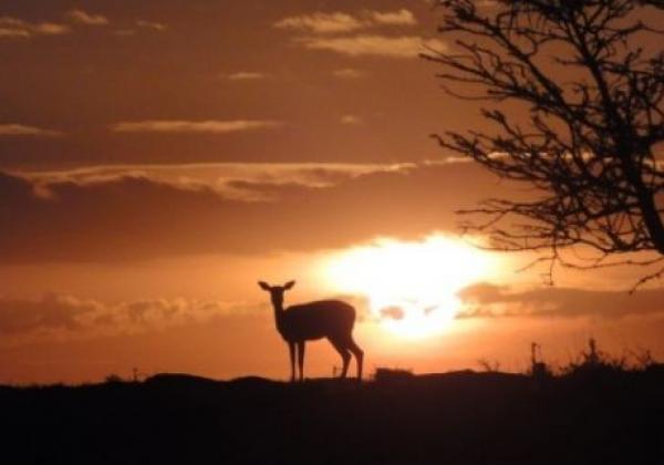 sonnenuntergang-in-kenia