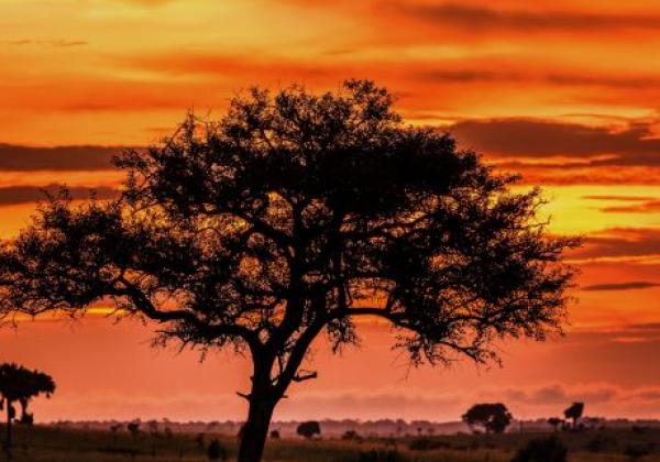 sonnenuntergang-in-uganda