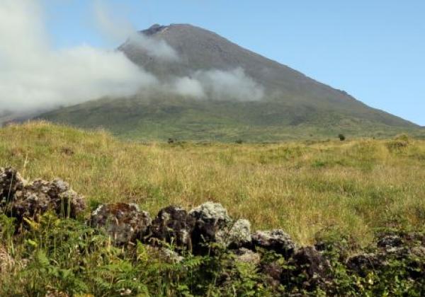 pico-hochland.jpg