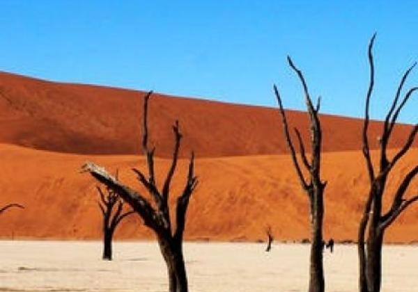 deadvlei-(wundn)