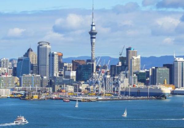 skytower-in-auckland
