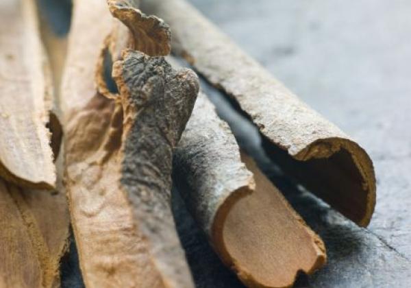 cinnamon-bark-
