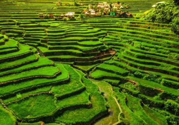 banaue-rice-terraces-cordillera-mountains