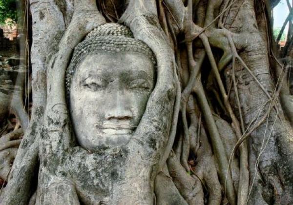 ayutthaya---wat-mahatad