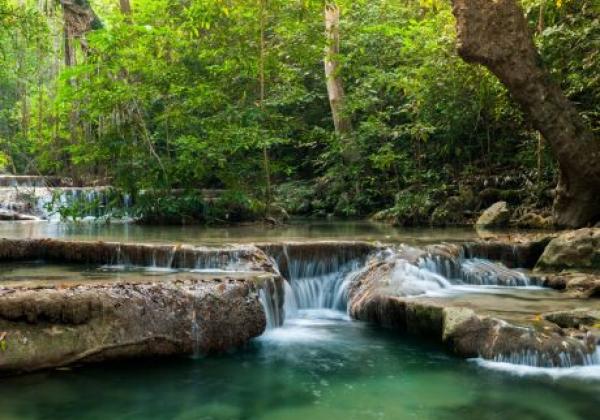 uganda---bwindi-forest-national-park-01