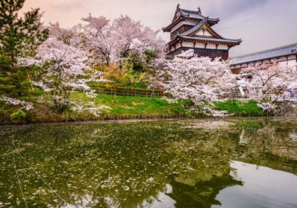 nara.-japan