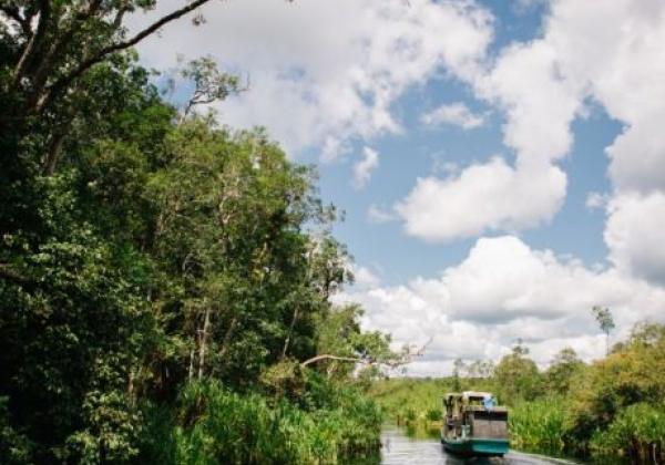 central-kalimantan,-borneo-indonesia-800x532