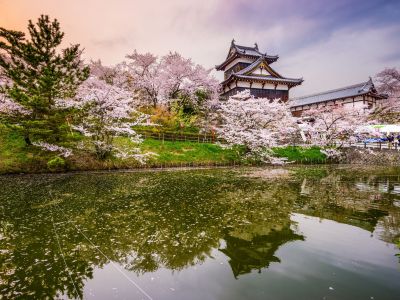 nara.-japan