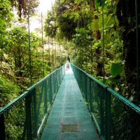 hängebrücken-in-monteverde-costa-rica