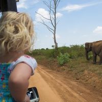 uda-walawe-national-park-jeep-safari