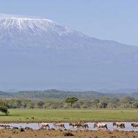 amboseli1