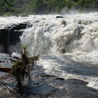 uganda---murchison-falls-01