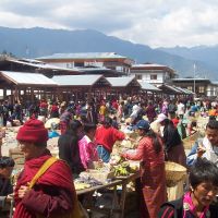 vegetable-market