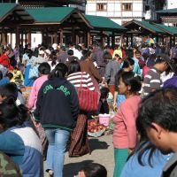 vegetable-market1