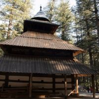 95---hadimba-temple-manali-800x545