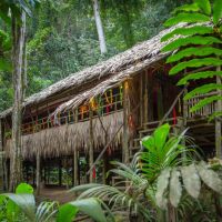 langhaus-in-borneo-800x533